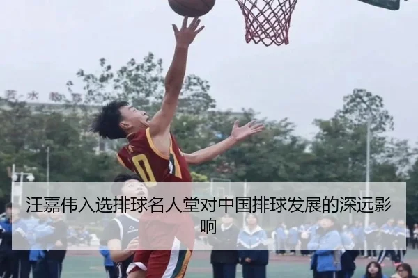 汪嘉伟入选排球名人堂对中国排球发展的深远影响